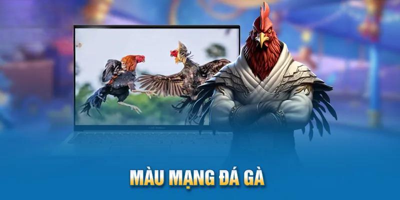 Màu Mạng Gà Đá – Phương Pháp Lựa Theo Phong Thủy Chuẩn 99OK 1 màu mạng đá gà