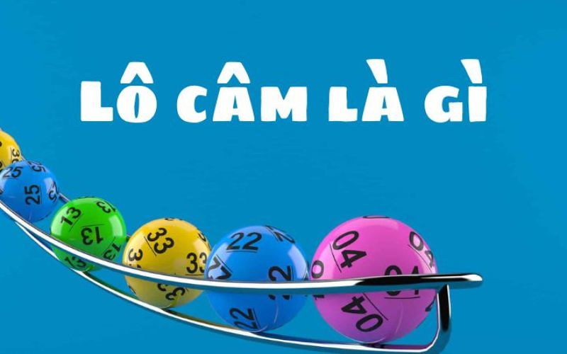 Lô Câm Từ 99OK: Khám Phá Tất Cả Những Điều Bạn Cần Biết 1 lo cam